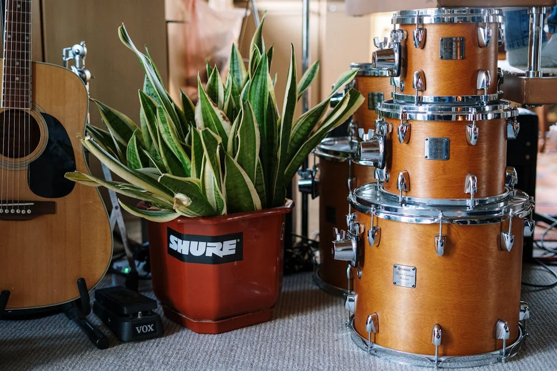 What Is an “Industry Plant” in Music?